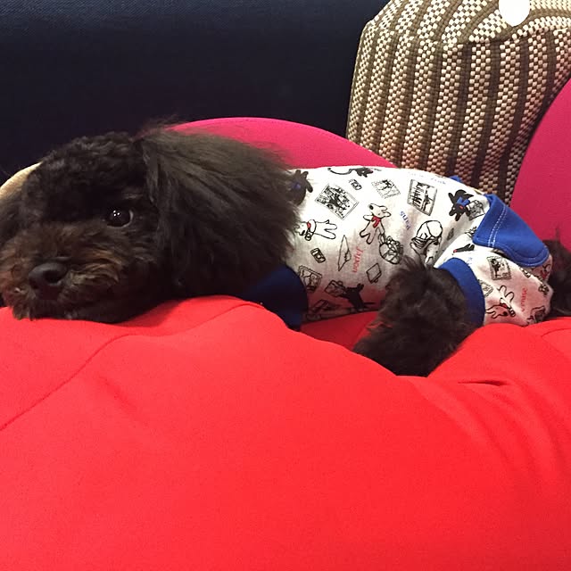 gousetsuさんの実例写真
