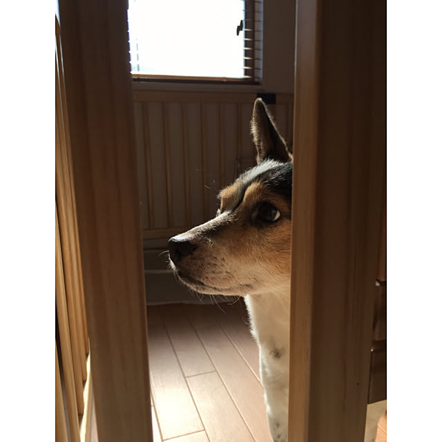 moguさんの実例写真