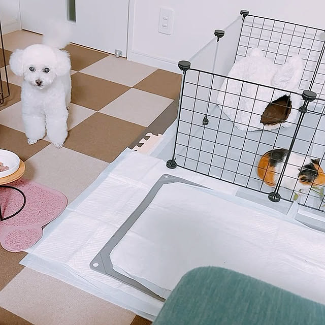 Mihoさんの実例写真