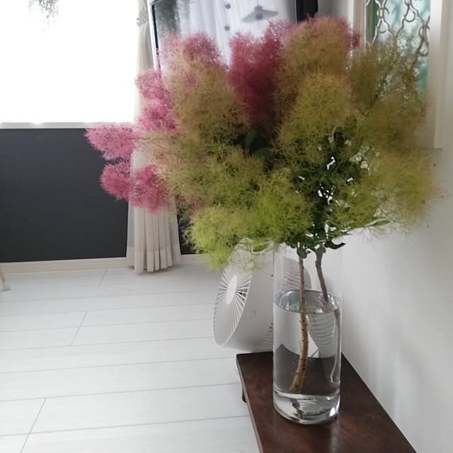 fumitanさんの部屋