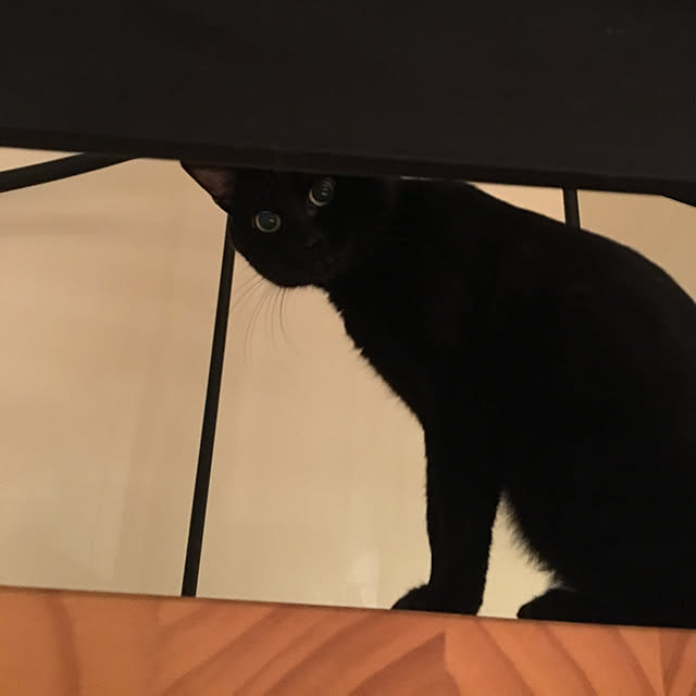 pitaさんの実例写真