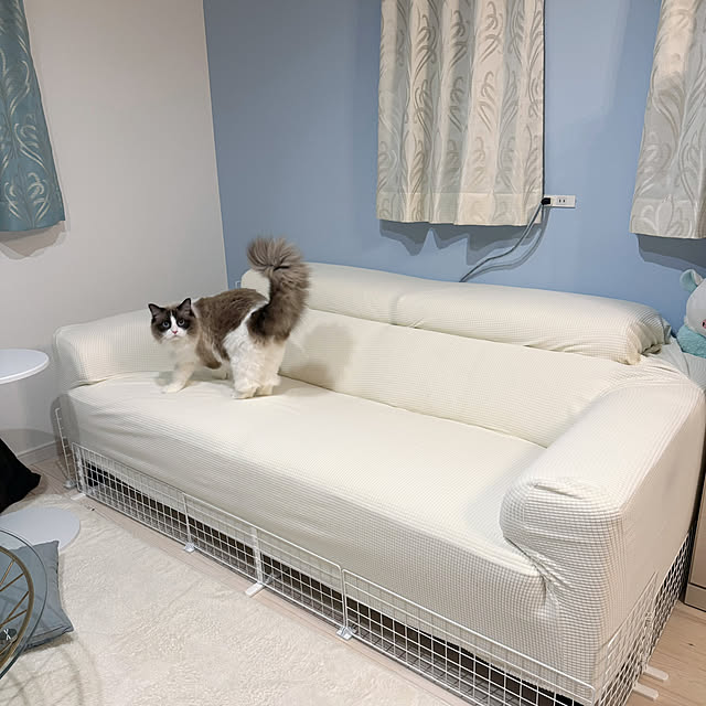 niuさんの実例写真