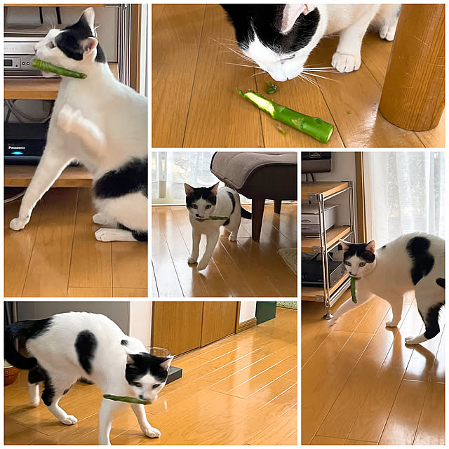 nobikoさんの実例写真