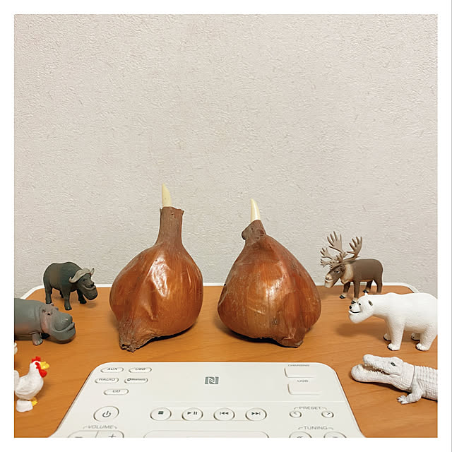 Maicoさんの実例写真
