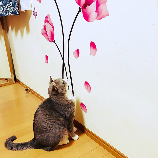 Yokoさんの実例写真