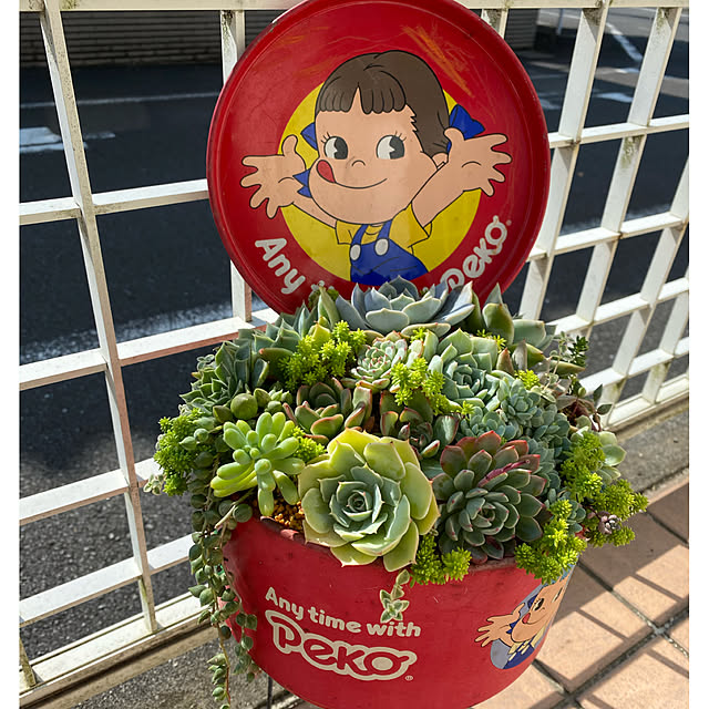 dainaoreiさんの実例写真