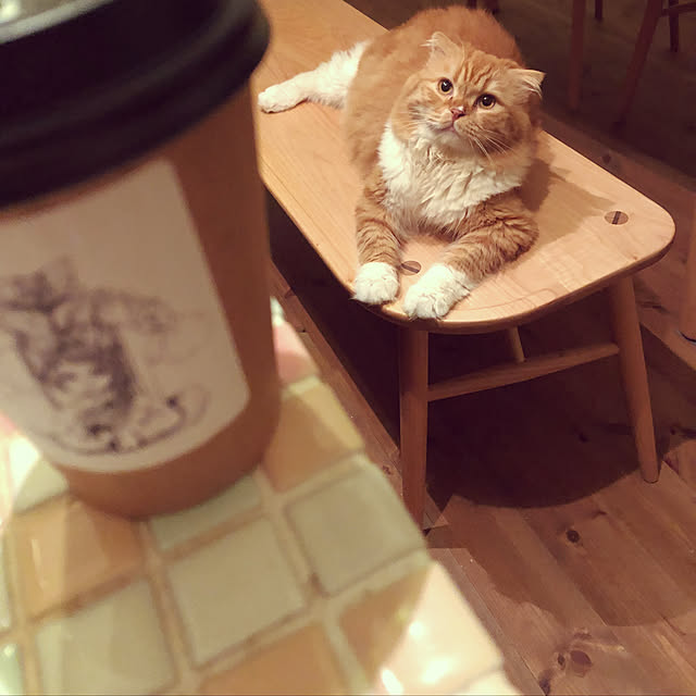 piyolandさんの実例写真
