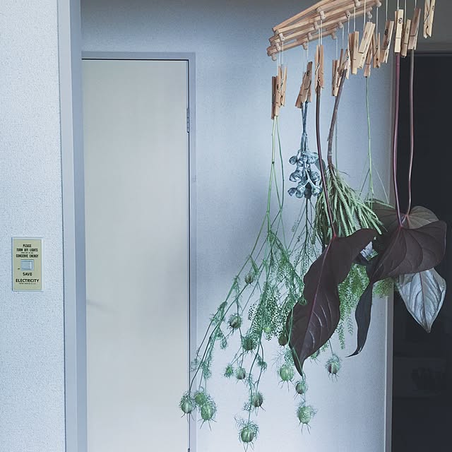 aut0n0micさんの実例写真