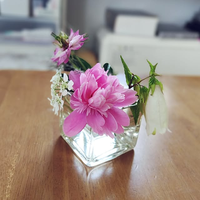 mutsuさんの部屋