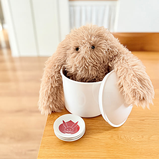 usaco.さんの実例写真