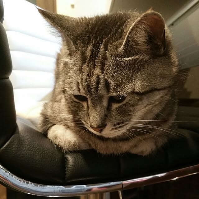 yumiさんの実例写真
