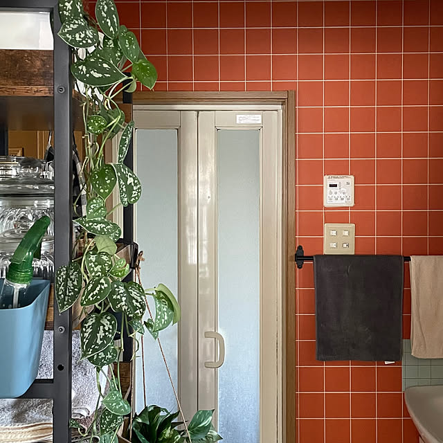 nobikoさんの部屋