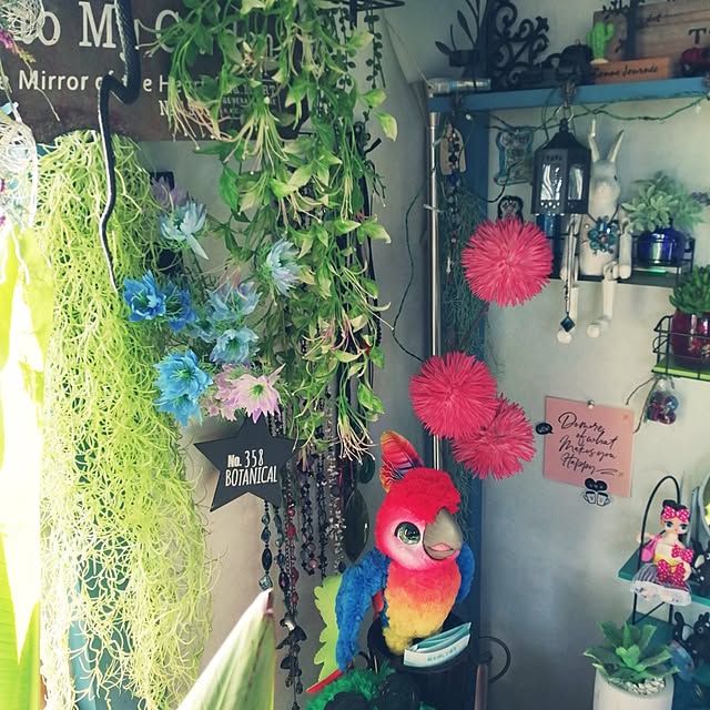 nacchanさんの部屋