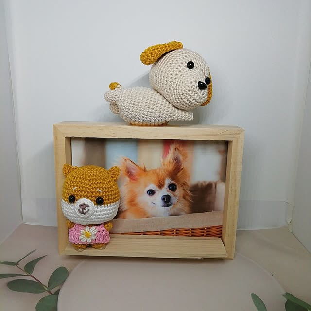fujiyayuさんの実例写真