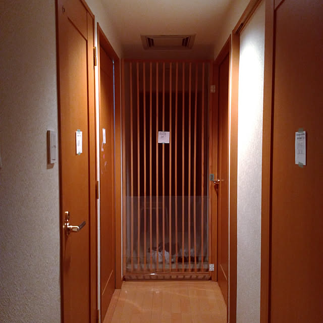 Aiさんの実例写真