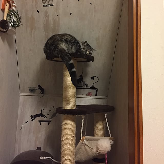 haruさんの実例写真