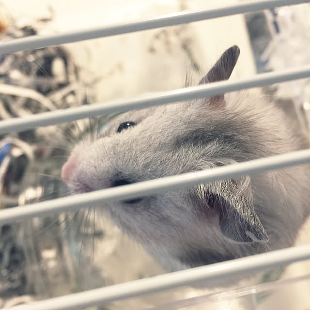 suzyさんの実例写真