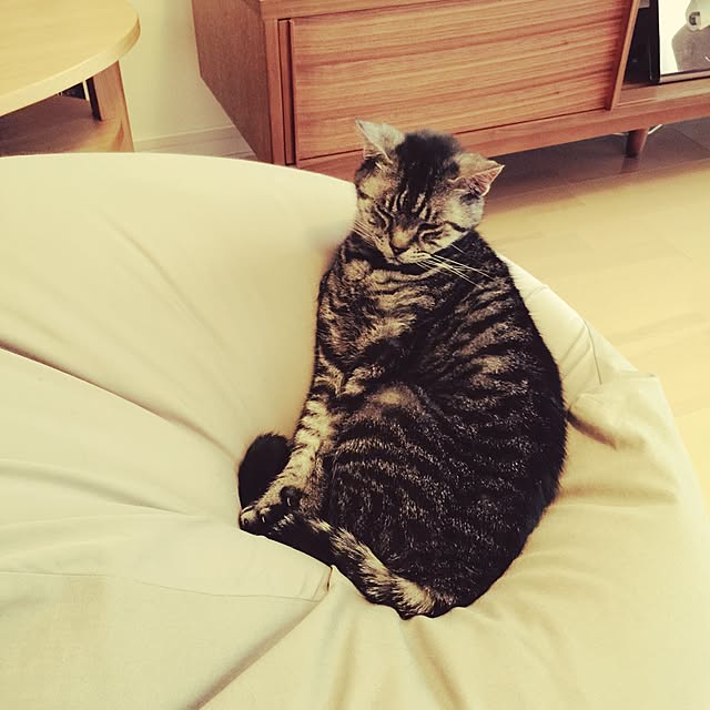 Sugamix711さんの実例写真