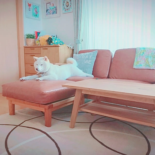 milkさんの実例写真