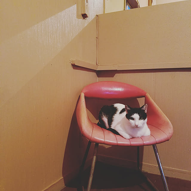 yukitadaさんの実例写真