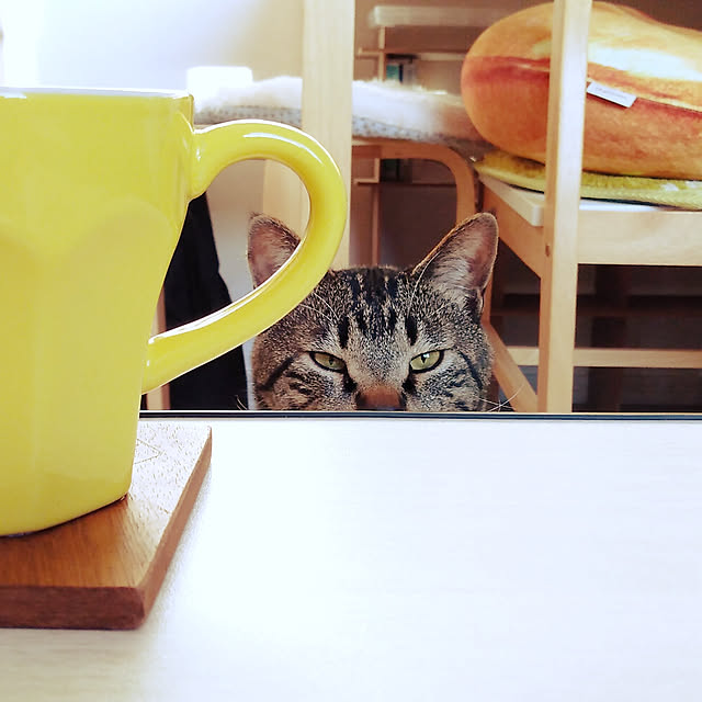 sleepywhaleさんの実例写真