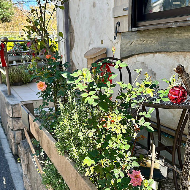 tabasaさんの部屋