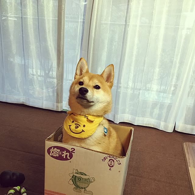 ronmaruさんの実例写真