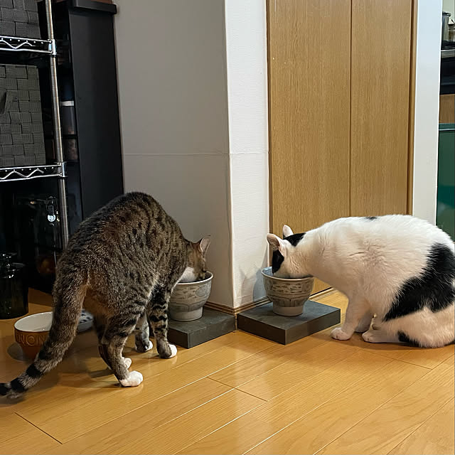 nobikoさんの実例写真