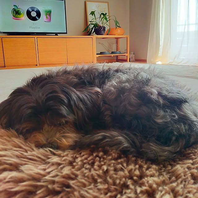 Kaeluさんの実例写真