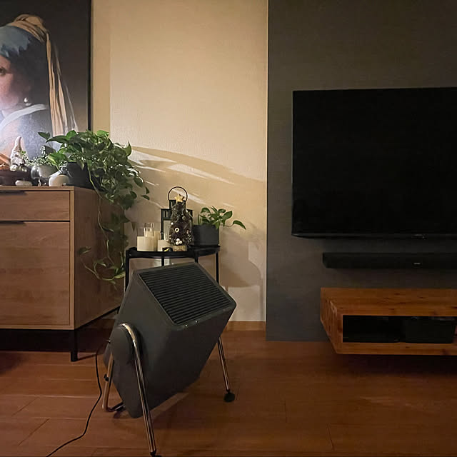 akoさんの実例写真