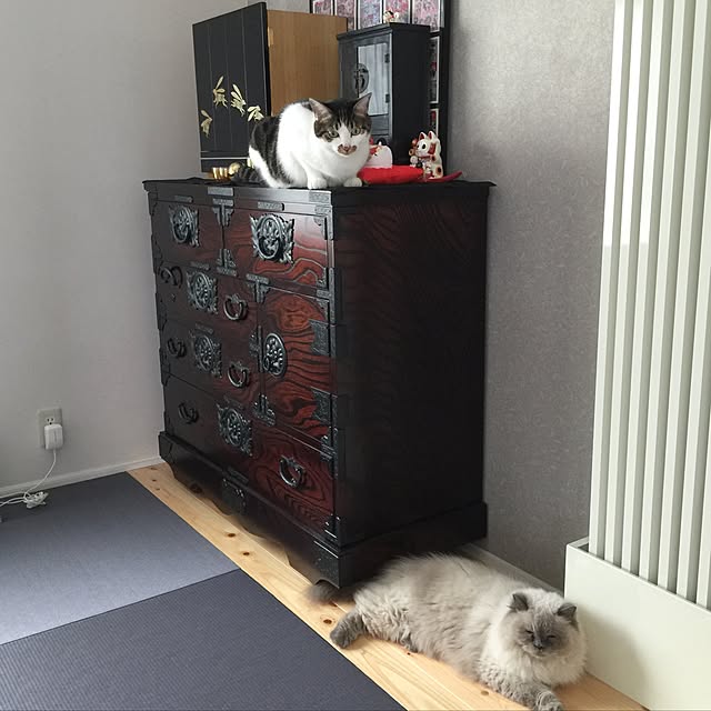 yuchiさんの実例写真