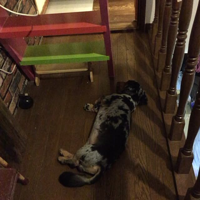 実例写真