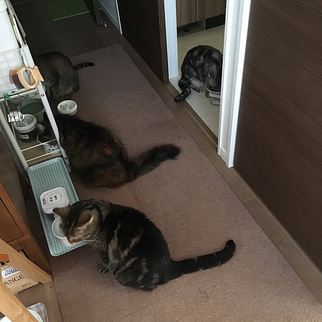 mikomaruさんの実例写真
