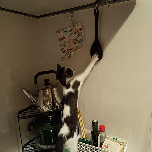 haruissaさんの実例写真