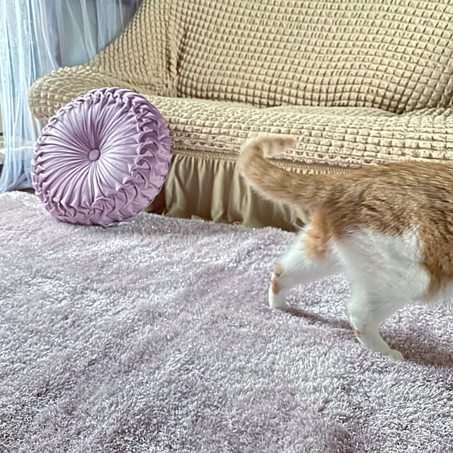 mintteaさんの実例写真