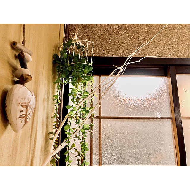 asamiiii1120さんの実例写真