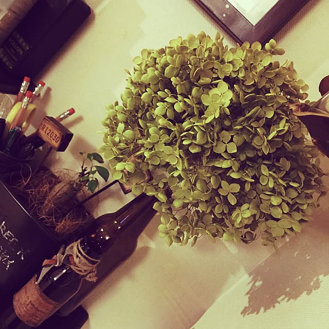 Rans_andy.さんの実例写真