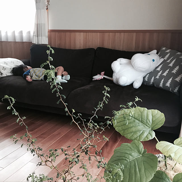 sorasoraさんの実例写真