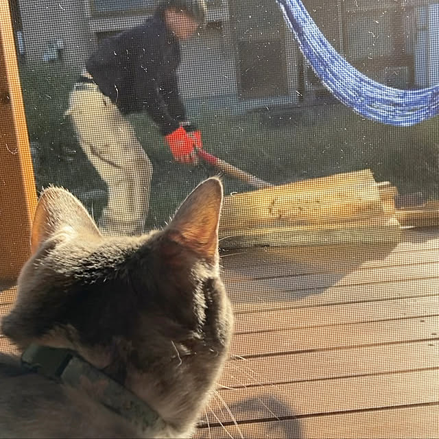 OTERUさんの実例写真
