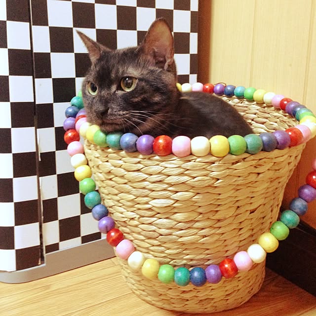 cocotakuさんの実例写真