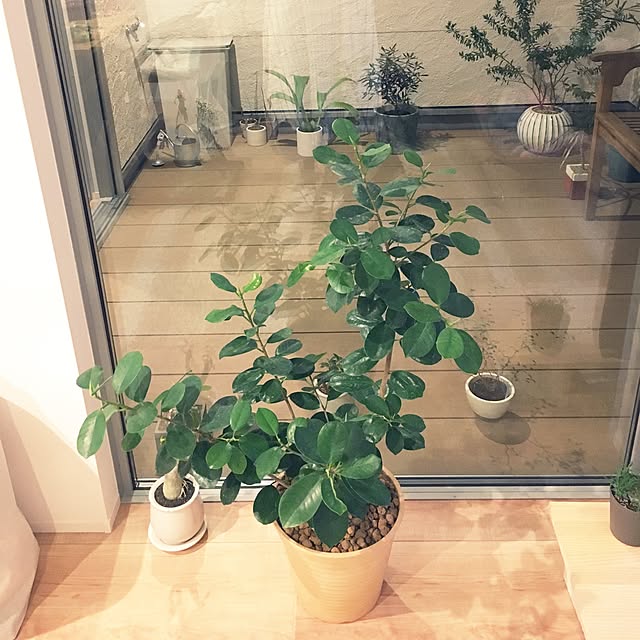 Y1178さんの実例写真