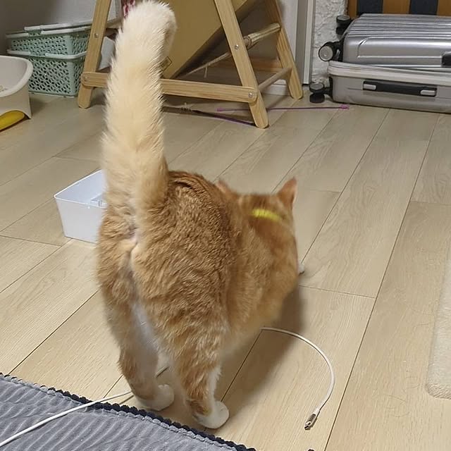 minnieさんの実例写真