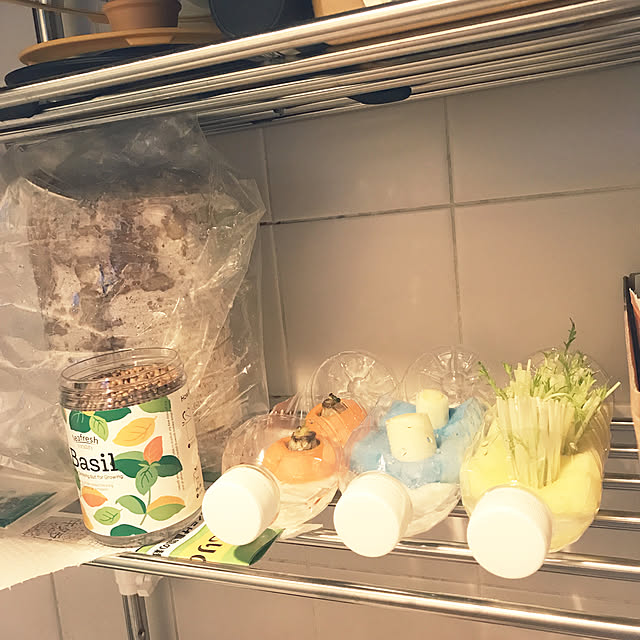 Megoさんの実例写真