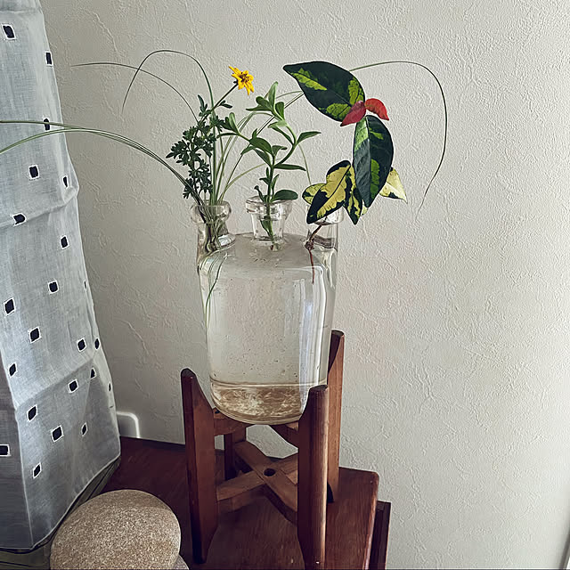 実例写真