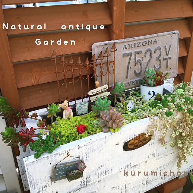 kurumichocoさんの実例写真