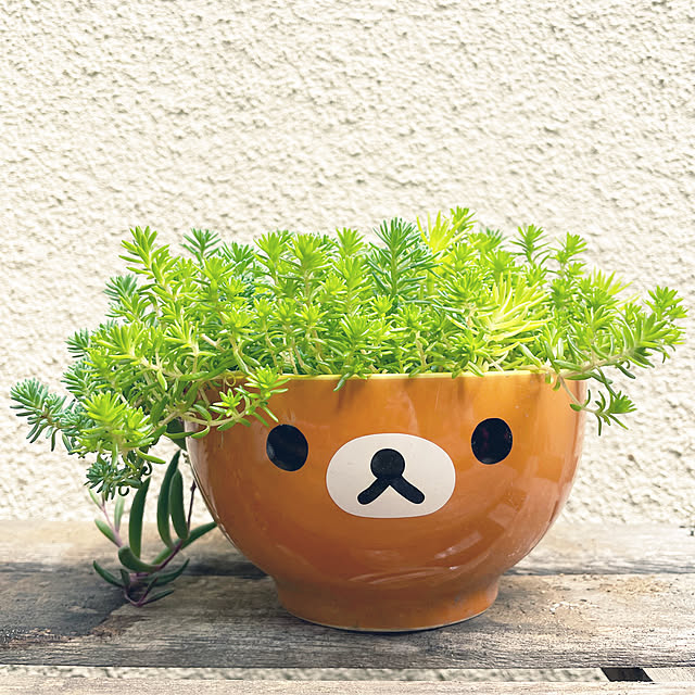chouryuさんの実例写真