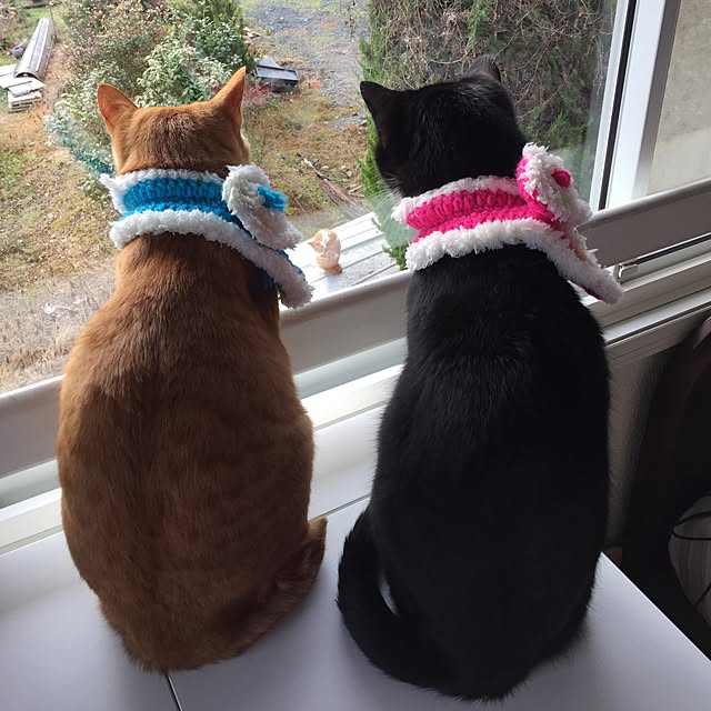 mtkさんの実例写真