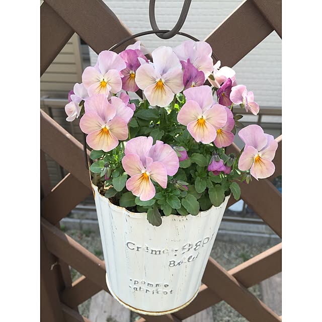 Celiさんの実例写真