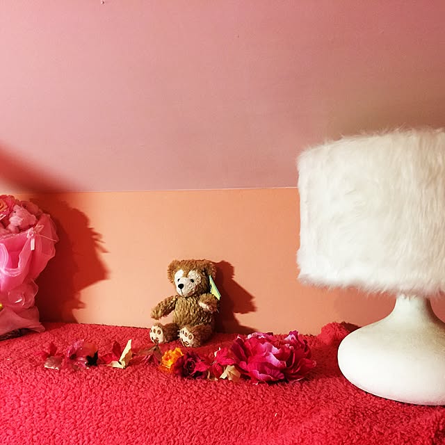 nonpiiiさんの実例写真