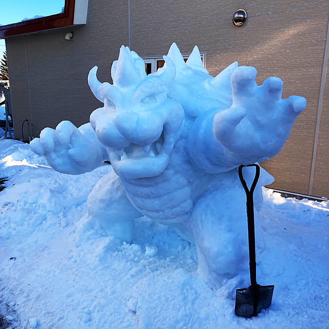 a_skrrさんの実例写真